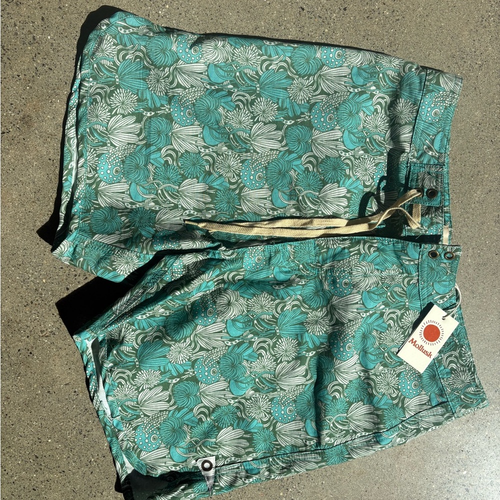 Mollusk Men's Teal Shorts. Just purchased at the store. Wrong size.